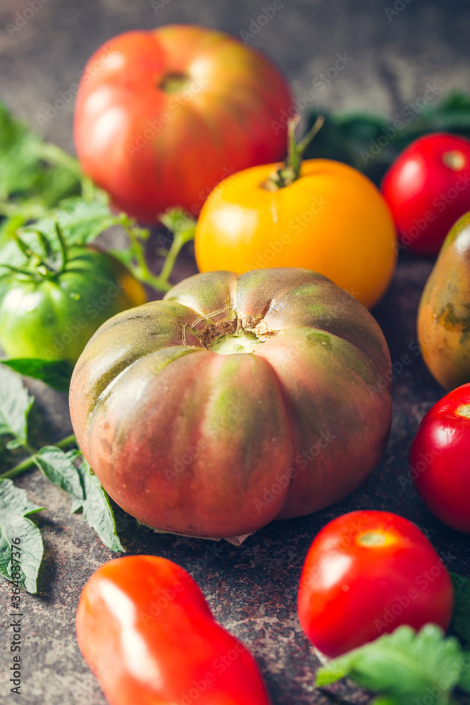 Fresh, ripe multi colored tomatoes on a dark background. Organic food.