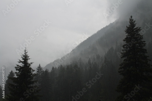 dark grey foggy rainy landscape, hard rain background in the mountain