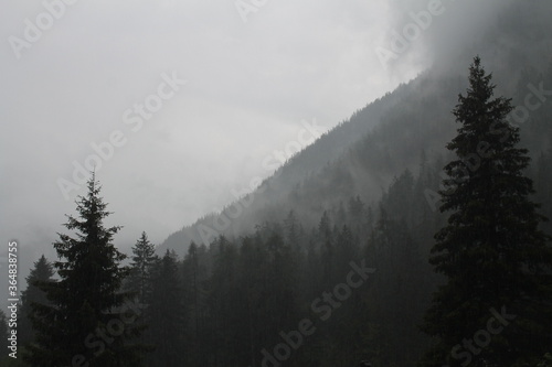 dark grey foggy rainy landscape, hard rain background in the mountain © Francesco