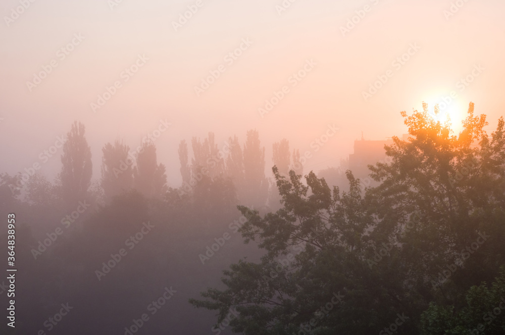 Spring cityscape - morning fog, green trees and sky with clouds