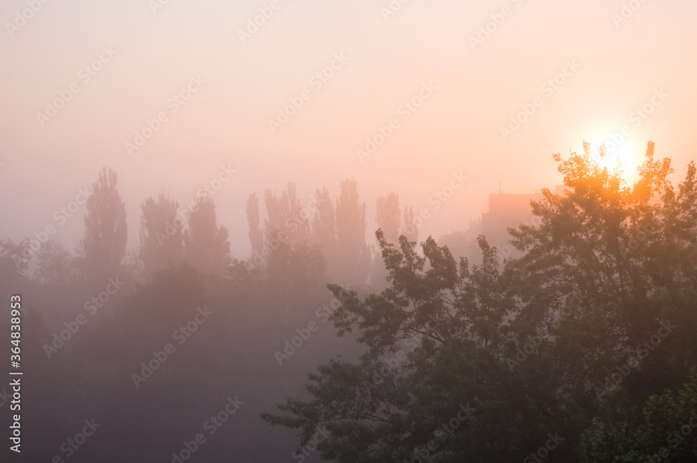 Spring cityscape - morning fog, green trees and sky with clouds Spring cityscape - morning fog, green trees and sky with clouds