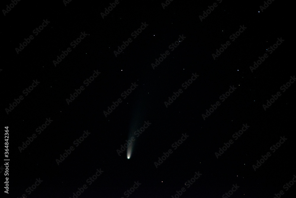 C/2020 F3 NEOWISE - obrazy, fototapety, plakaty 