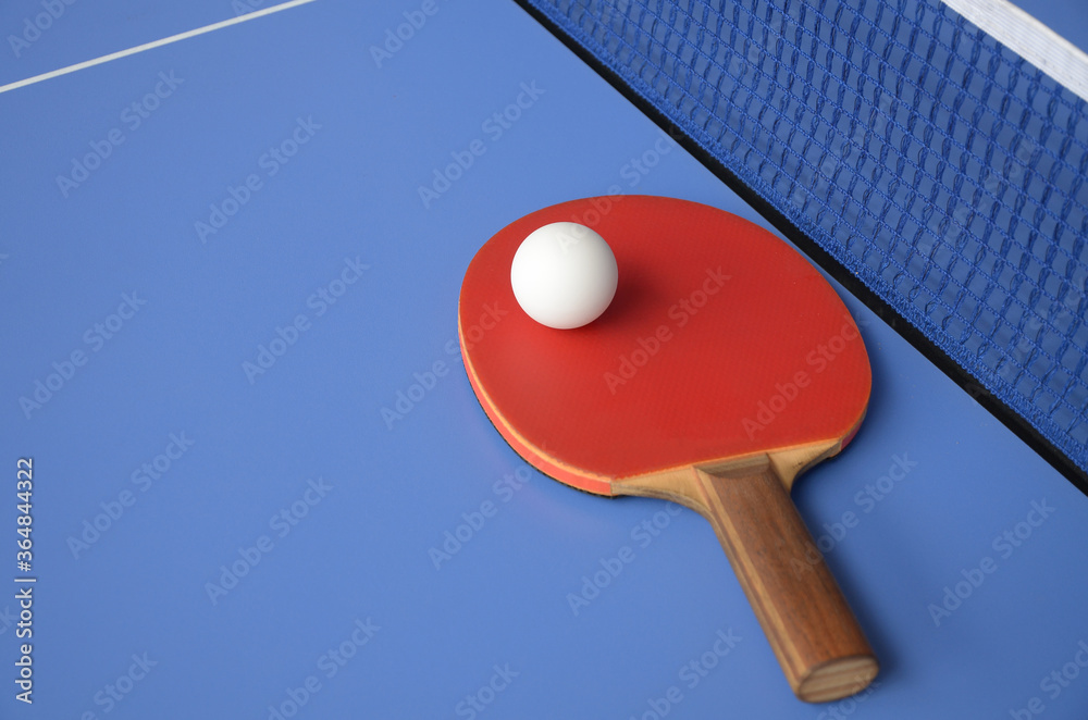 Red Table Tennis Paddles and ball on the blue table tennis table with net. Ping Pong concept with copy space Red Table Tennis Paddles and ball on the blue table tennis table with net. Ping Pong concept with copy space