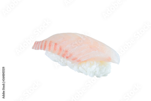 Japanese Nigiri sushi with raw rockfish fillet. sashimi with rice, isolation on white background. Japanese cuisine. Pan Asian menu dish isolated. 