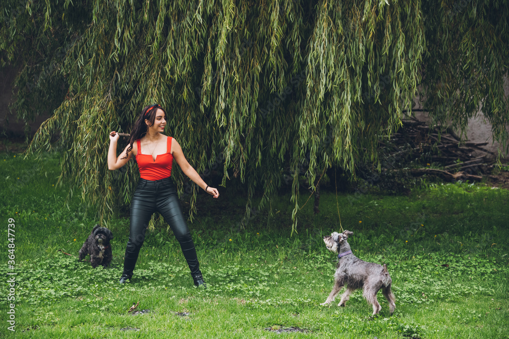 Girl playing to throw the stick with her dog in a park, dressed in a red blouse and black pants, with a red bow on her head, her dogs are a Schnauzer and a black Shitzu. 