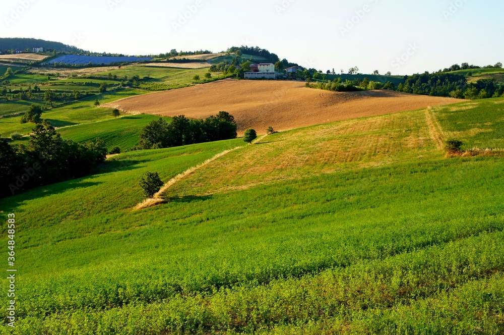 landscape with green field and blue sky