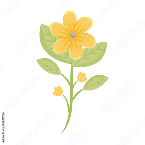 yellow flowers with leaves design  natural floral nature plant ornament garden decoration and botany theme Vector illustration