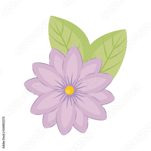 purple flower with leaves design  natural floral nature plant ornament garden decoration and botany theme Vector illustration