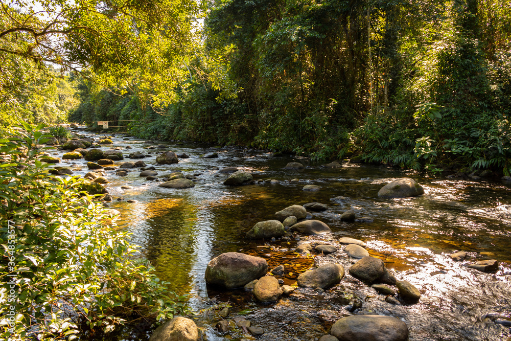 Obraz premium River on the jungle
