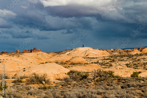 Open desert in Arches National Park