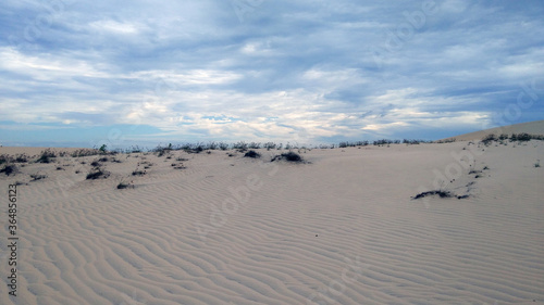 dunes on the beach