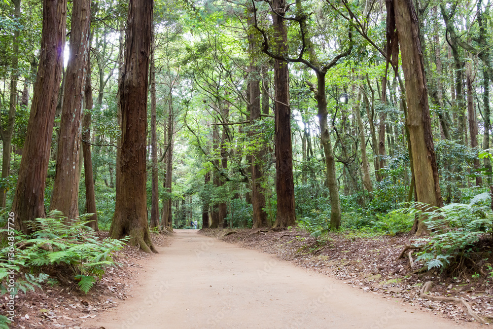 Approach to Kashima Shrine (Kashima jingu Shrine) in Kashima, Ibaraki Prefecture, Japan. Kashima Shrine is one of the oldest shrines in eastern Japan.
