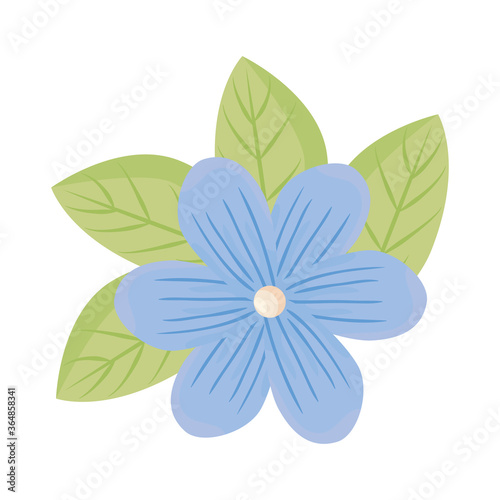blue flower with leaves design, natural floral nature plant ornament garden decoration and botany theme Vector illustration