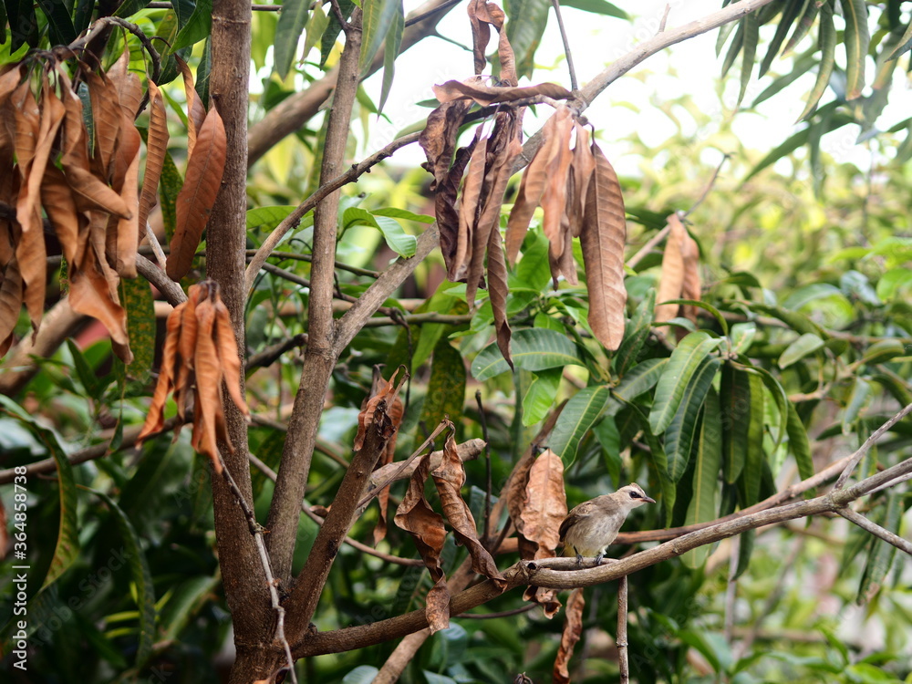 Obraz premium OLYMPUS DIGITAL CAMERA