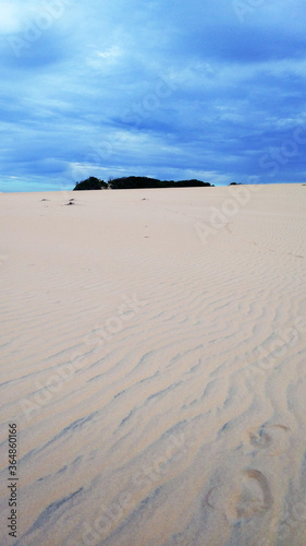 sand dunes in the morning © Bruttos