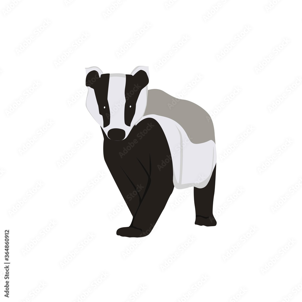 Obraz premium Badger Illustration