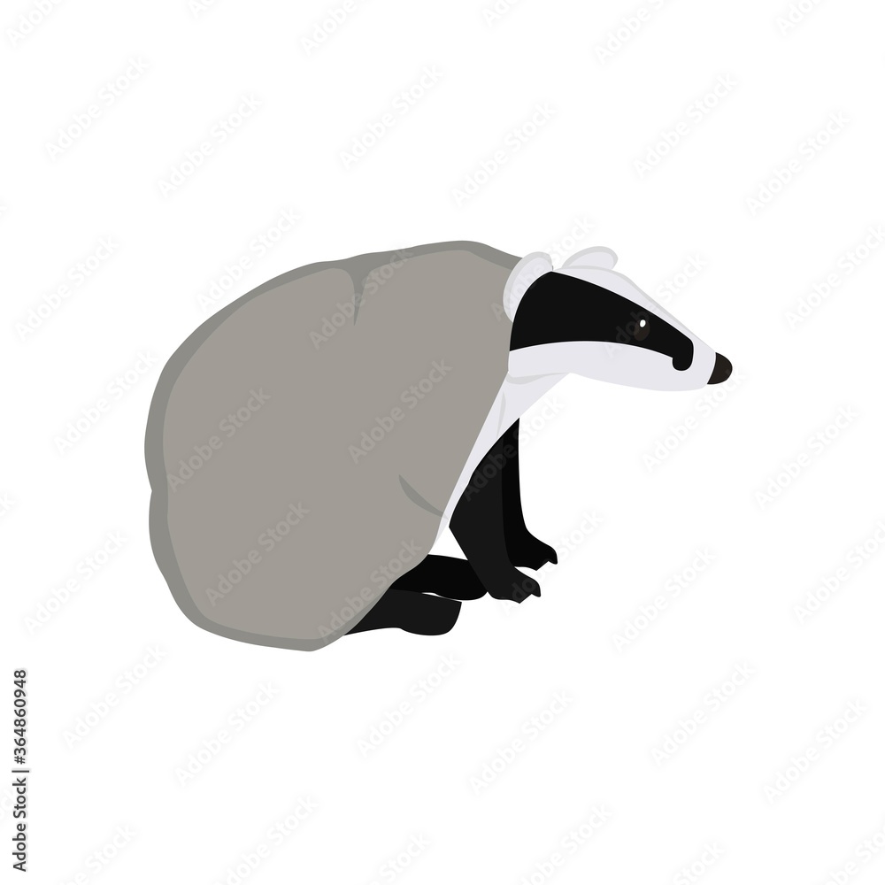 Fototapeta premium Badger Illustration