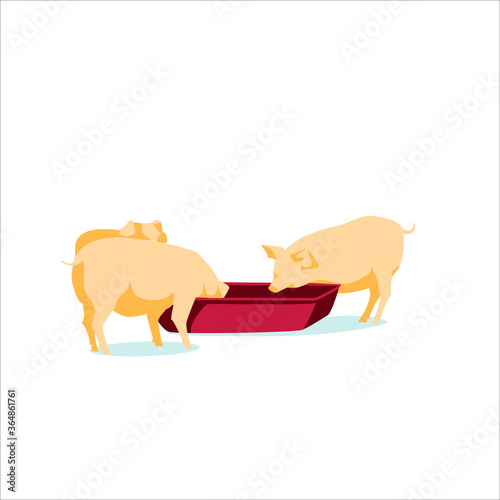 Pigs feeding agricultural animals breeding. Livestock agricultural industry. Farm animals breeding. Eco farming, rural hennery and agriculture concept flat vector illustration on white background