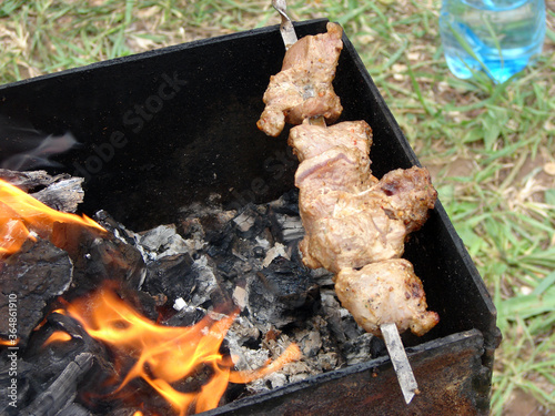 Kebab and Shashlik in the nature