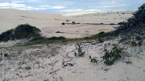 landscape of the dunes