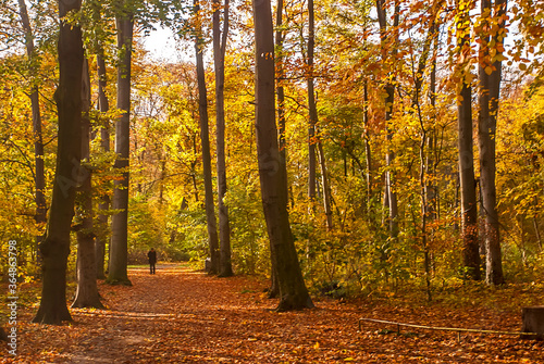 Park photographed in Cologne  Germany. Picture made in 2009.