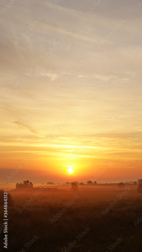 Colorful sunset over wheat field.