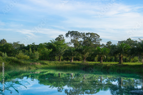 garden at Namphan small lake Sang khom Udonthani.
