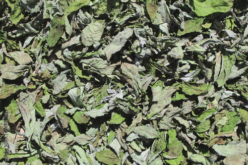 The texture of dry lemon balm leaves lies on the surface