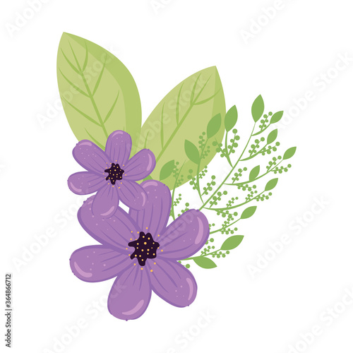 purple flowers with leaves design, natural floral nature plant ornament garden decoration and botany theme Vector illustration © Gstudio