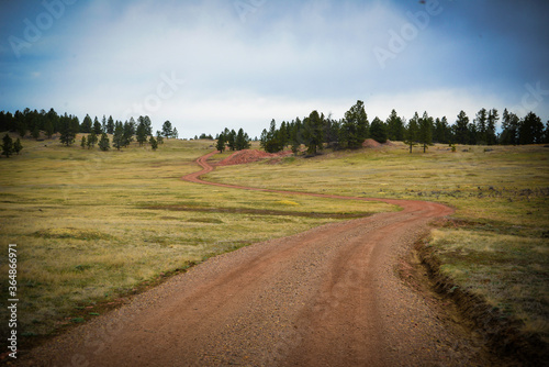 Winding dirt road in Montana