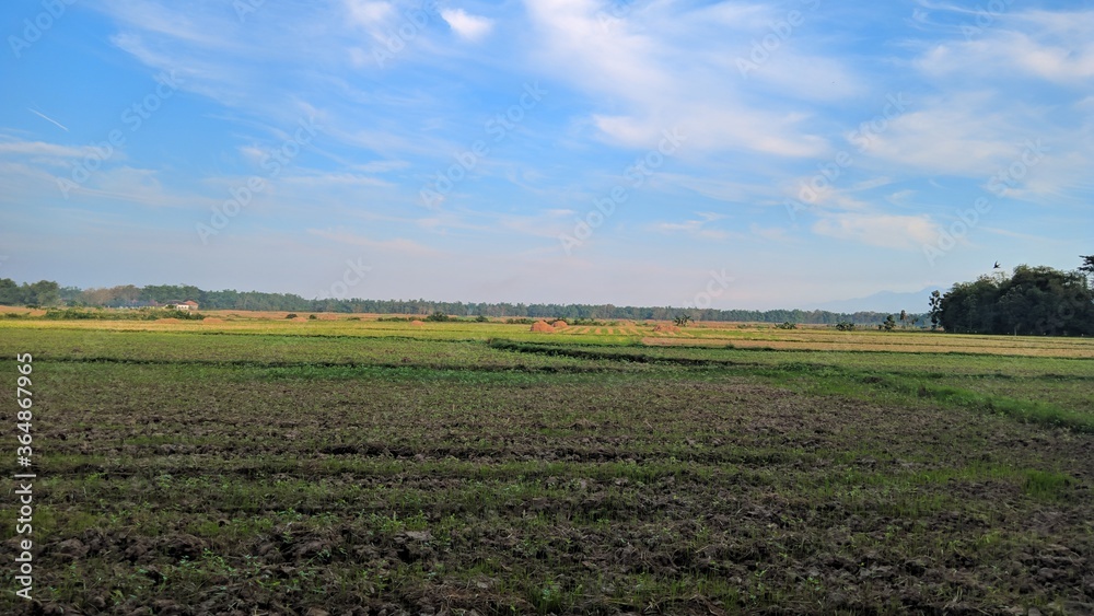 Landscape field and blue sky views