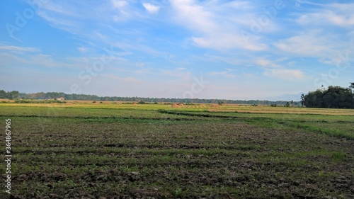 Landscape field and blue sky views