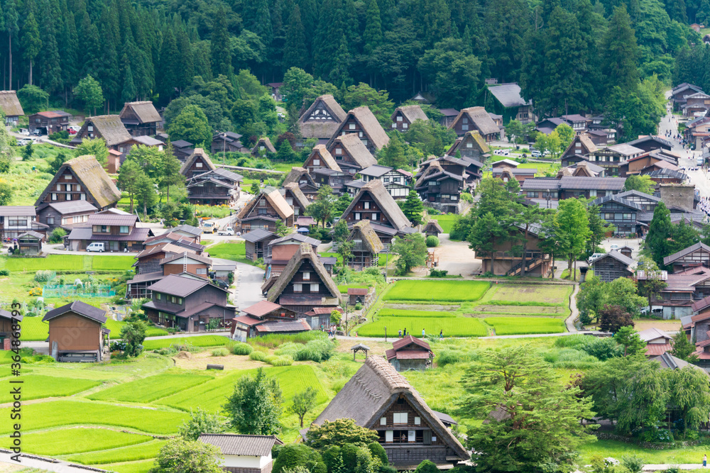 Gassho-zukuri houses at Ogimachi Village in Shirakawago, Gifu, Japan. It is part of UNESCO World Heritage Site - Historic Villages of Shirakawa-go and Gokayama.