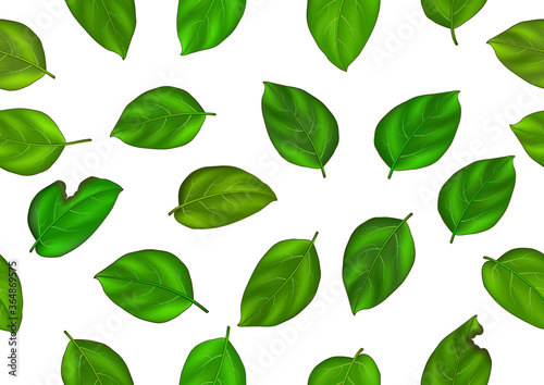 Seamless background with colorful realistic summer green leaves. Perfect for wallpaper, gift paper, pattern fills, web page background, spring summer greeting cards.