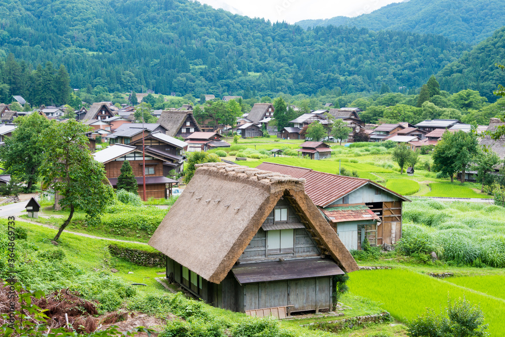 Gassho-zukuri houses at Ogimachi Village in Shirakawago, Gifu, Japan. It is part of UNESCO World Heritage Site - Historic Villages of Shirakawa-go and Gokayama.