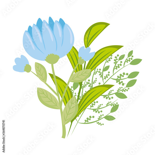 blue flowers with leaves design, natural floral nature plant ornament garden decoration and botany theme Vector illustration