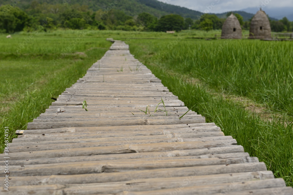 Bamboo bridge to Cottage and rice field with mountain background