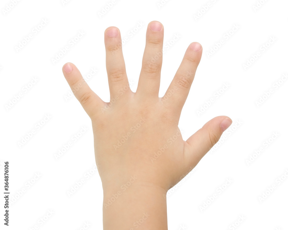Children hands isolated on a white background without a shadow. Item for packaging, design, mockup and scene creator Children hands isolated on a white background without a shadow. Item for packaging, design, mockup and scene creator