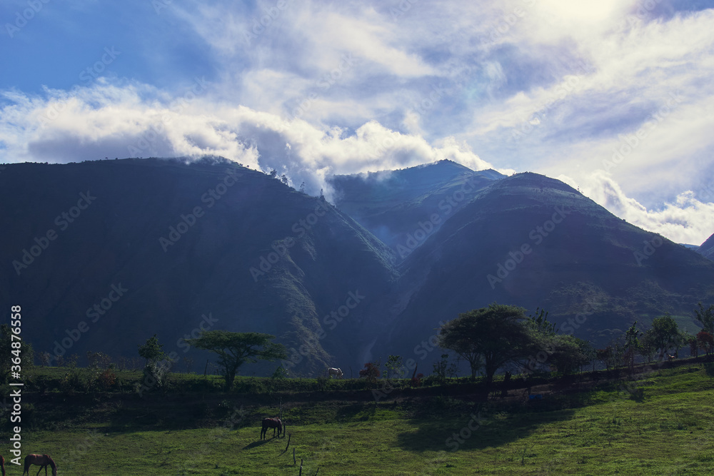 sunny mountains landscape with haze, clouds and horses