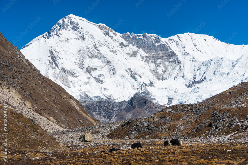Cho Oyu mountain peak, sixth highest mountain peak in the world view from Gokyo village. Himalaya mountains range in Nepal