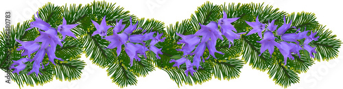 green plant with needleses and bluebells on white