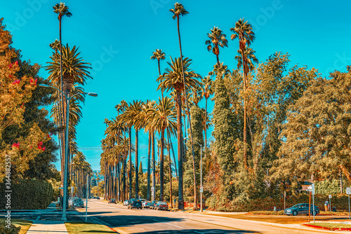 Urban views of the Beverly Hills area and residential buildings on the Hollywood hills.