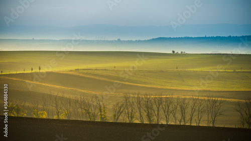Rolling hills scenery in the early morning Moravia, Czech
