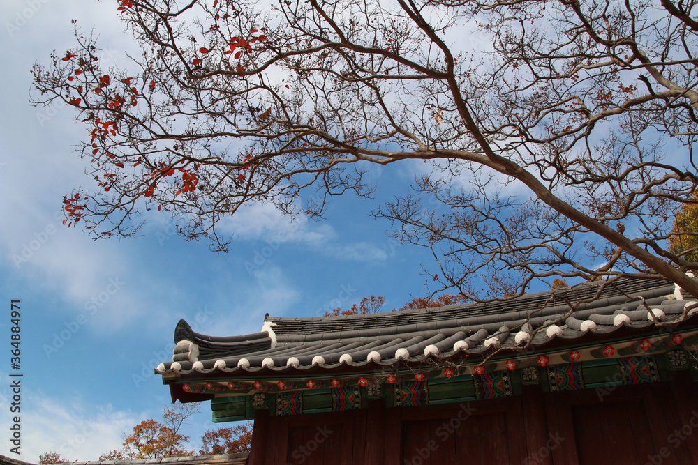 Autumn leaves, tree branches and the traditional Korea roof with blue sky, South Korea Autumn leaves, tree branches and the traditional Korea roof with blue sky, South Korea