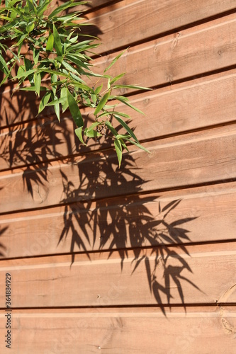 Bamboo leaves with the shadow on wooden wall