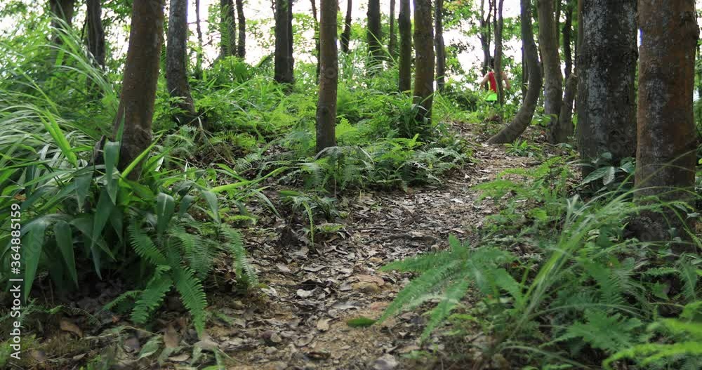 Young woman trail runner running in tropical forest Young woman trail runner running in tropical forest