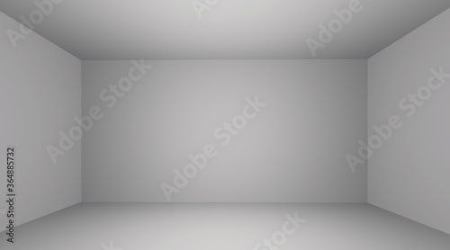 Room space background. Front view of empty room with soft light illumination. 3d interior rendering.