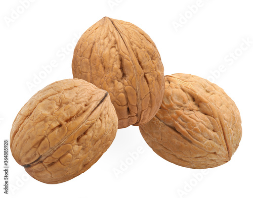 Group of delicious walnuts, isolated on white background