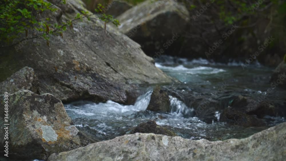 close up of a calm mountain river close up of a calm mountain river