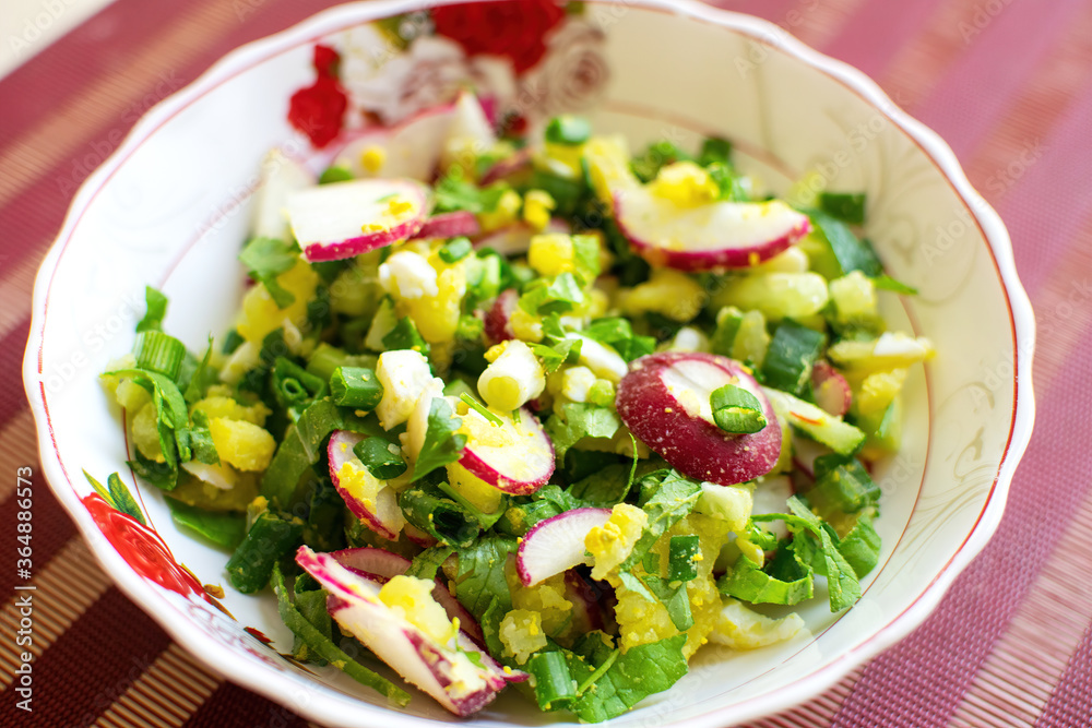 Spring salad with radishes, eggs, green onion and sprouts. Healthy salad Spring salad with radishes, eggs, green onion and sprouts. Healthy salad